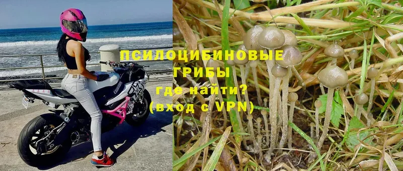 kraken ONION  Красный Сулин  Галлюциногенные грибы MAGIC MUSHROOMS 